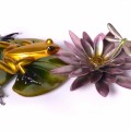 frogman waterlotus flower frog tim cotterill