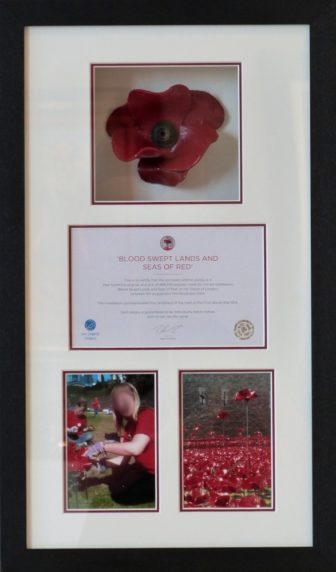Tower of London Poppy and Certificate Framing 3D
