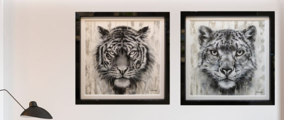 tiger leopard big cat art by ben jeffery