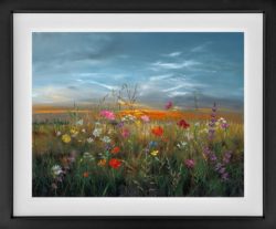 shine on through kimberly harris limited edition print flowers in a field